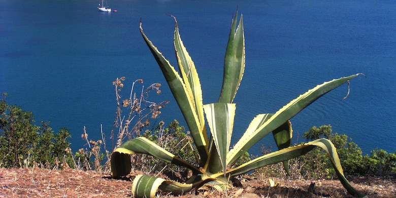 Toskana Insel Elba