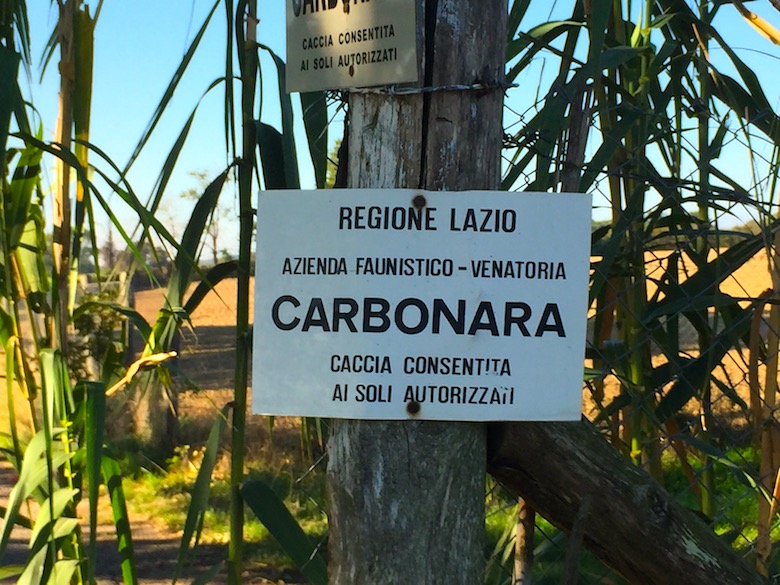 Tuscia Carbonara